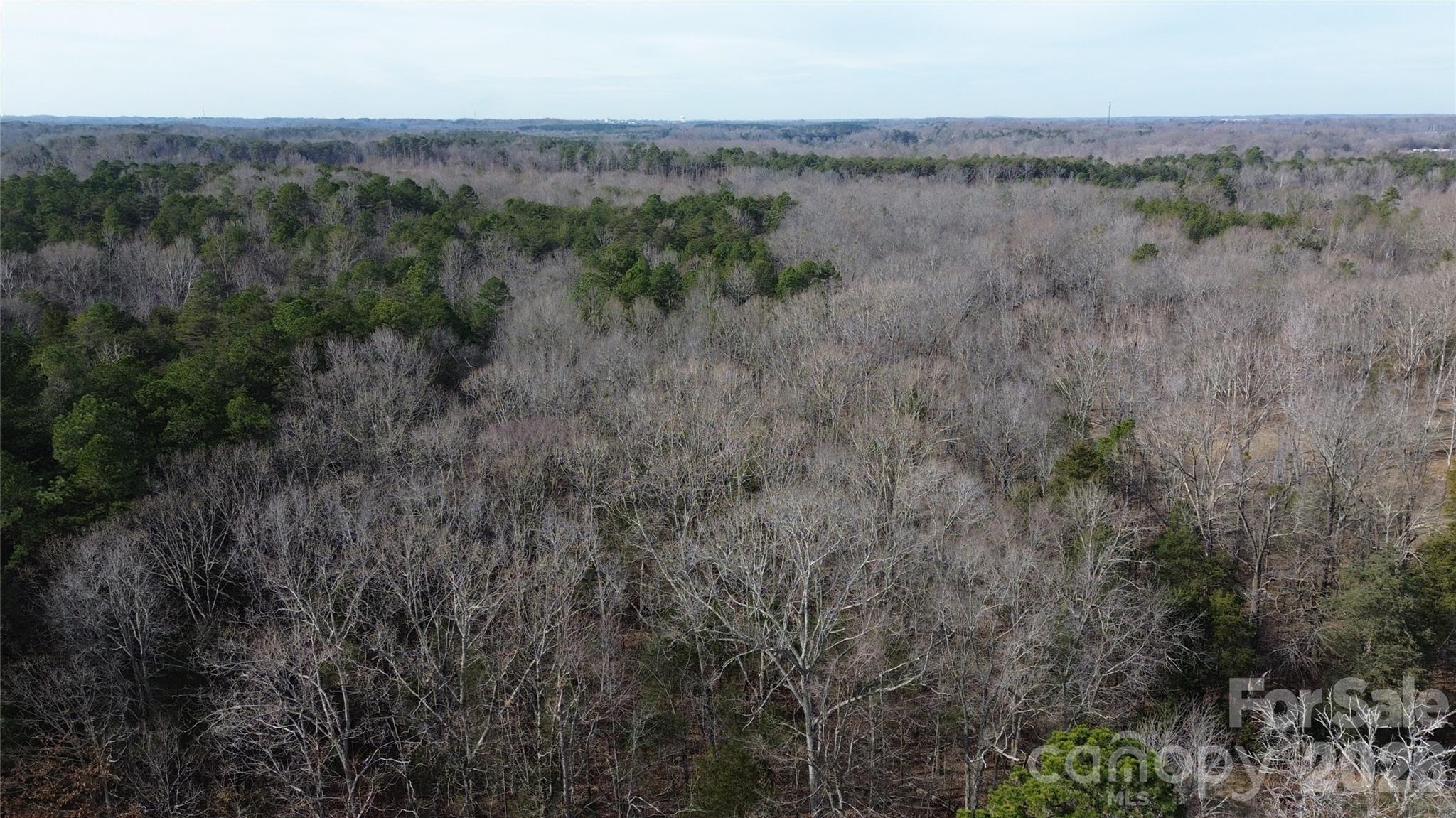 0 Old Union Church Road, Unit 1/2 Salisbury, NC 28146 - Photo 12 of 15 a view of a lake in middle of forest