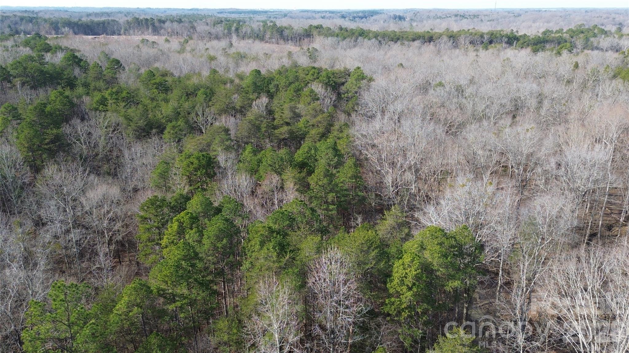 0 Old Union Church Road, Unit 1/2 Salisbury, NC 28146 - Photo 14 of 15 a view of a lush green forest with lots of trees