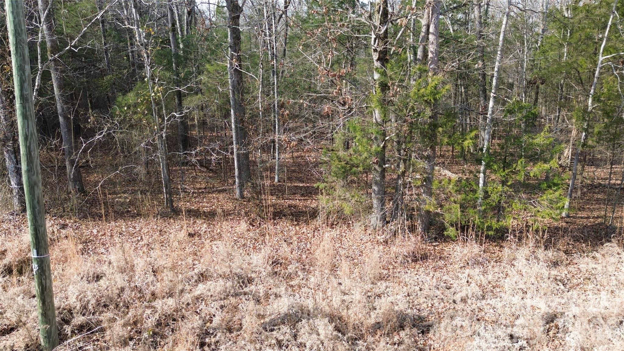 0 Old Union Church Road, Unit 1/2 Salisbury, NC 28146 - Photo 4 of 15 a view of a pathway of a yard