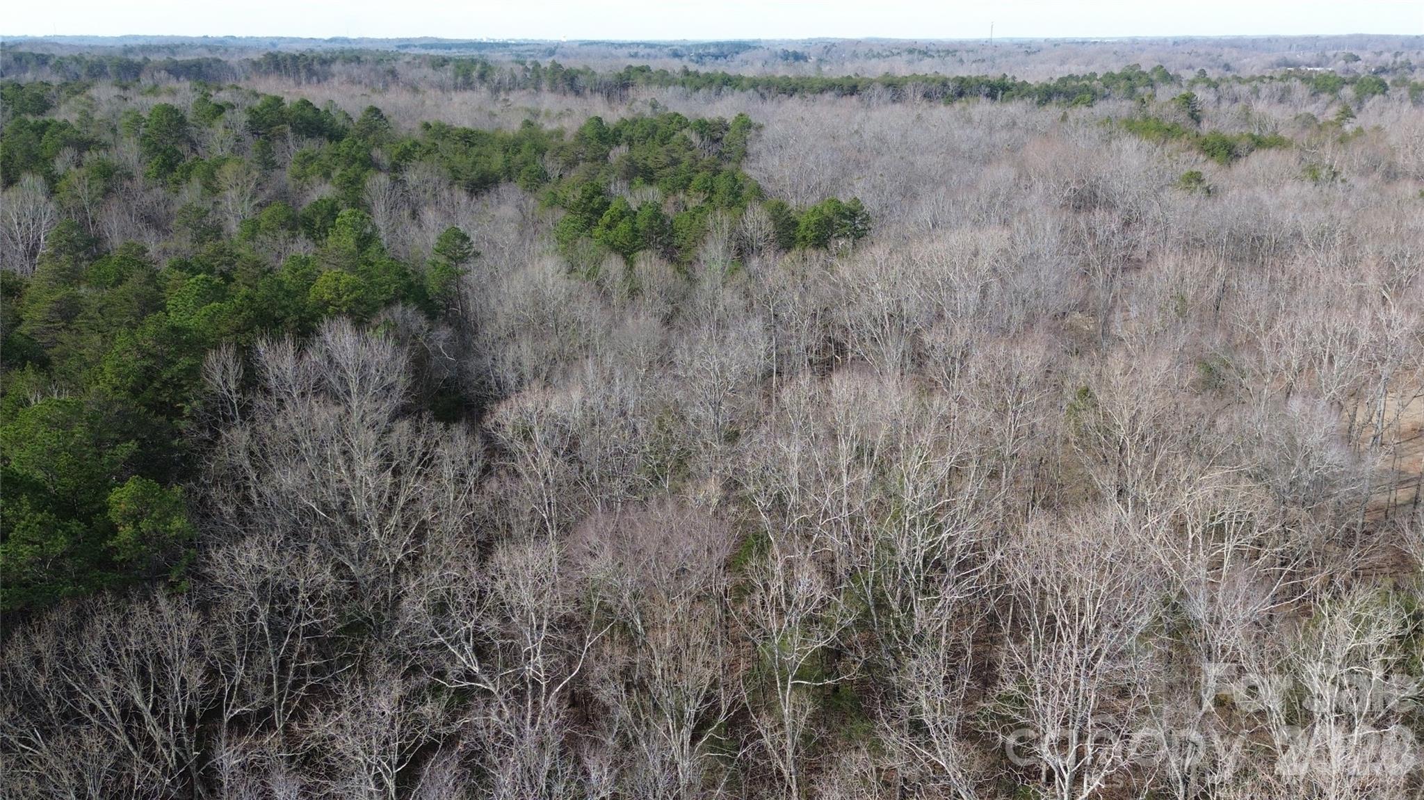 0 Old Union Church Road, Unit 1/2 Salisbury, NC 28146 - Photo 5 of 15 a view of a lush green forest with lush green forest