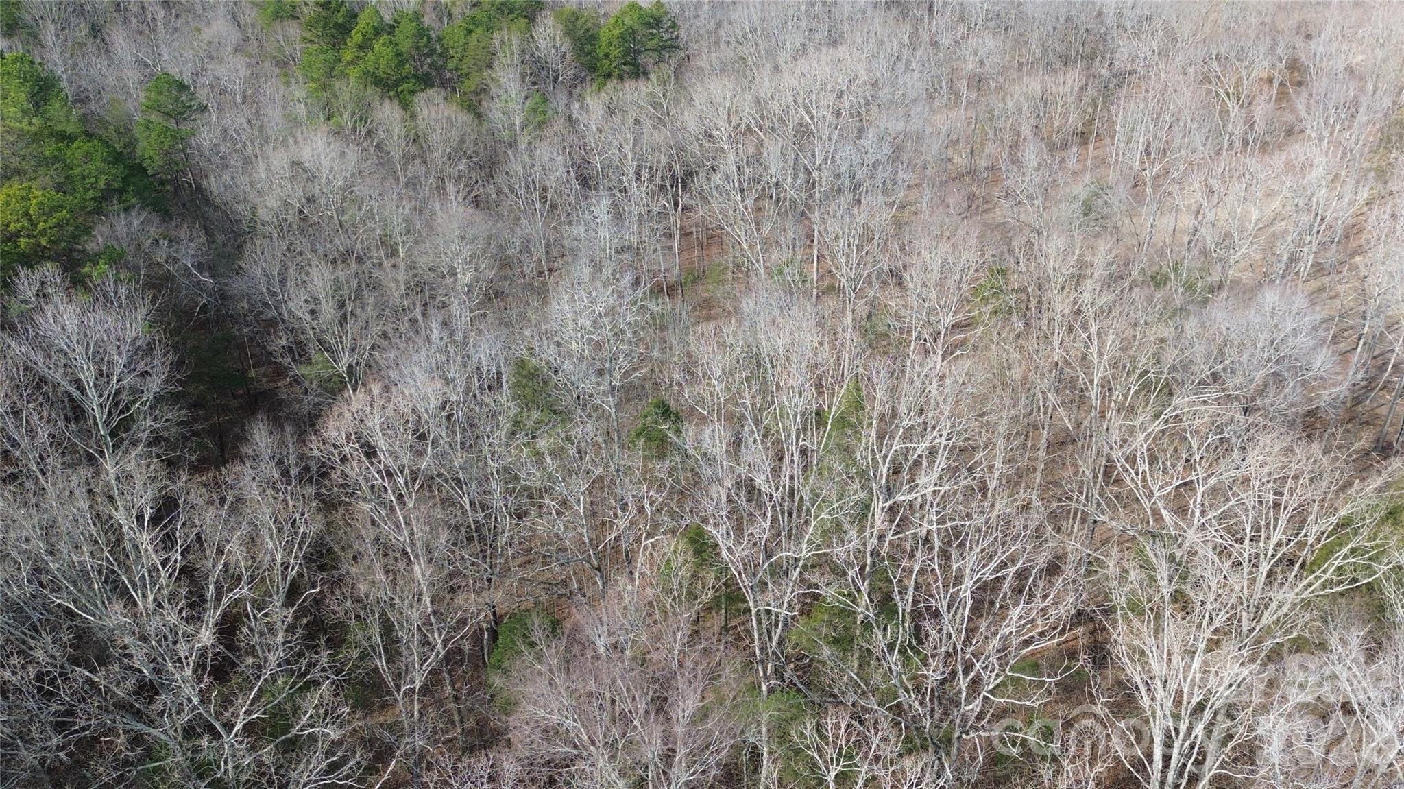 0 Old Union Church Road, Unit 1/2 Salisbury, NC 28146 - Photo 7 of 15 a view of a dry yard