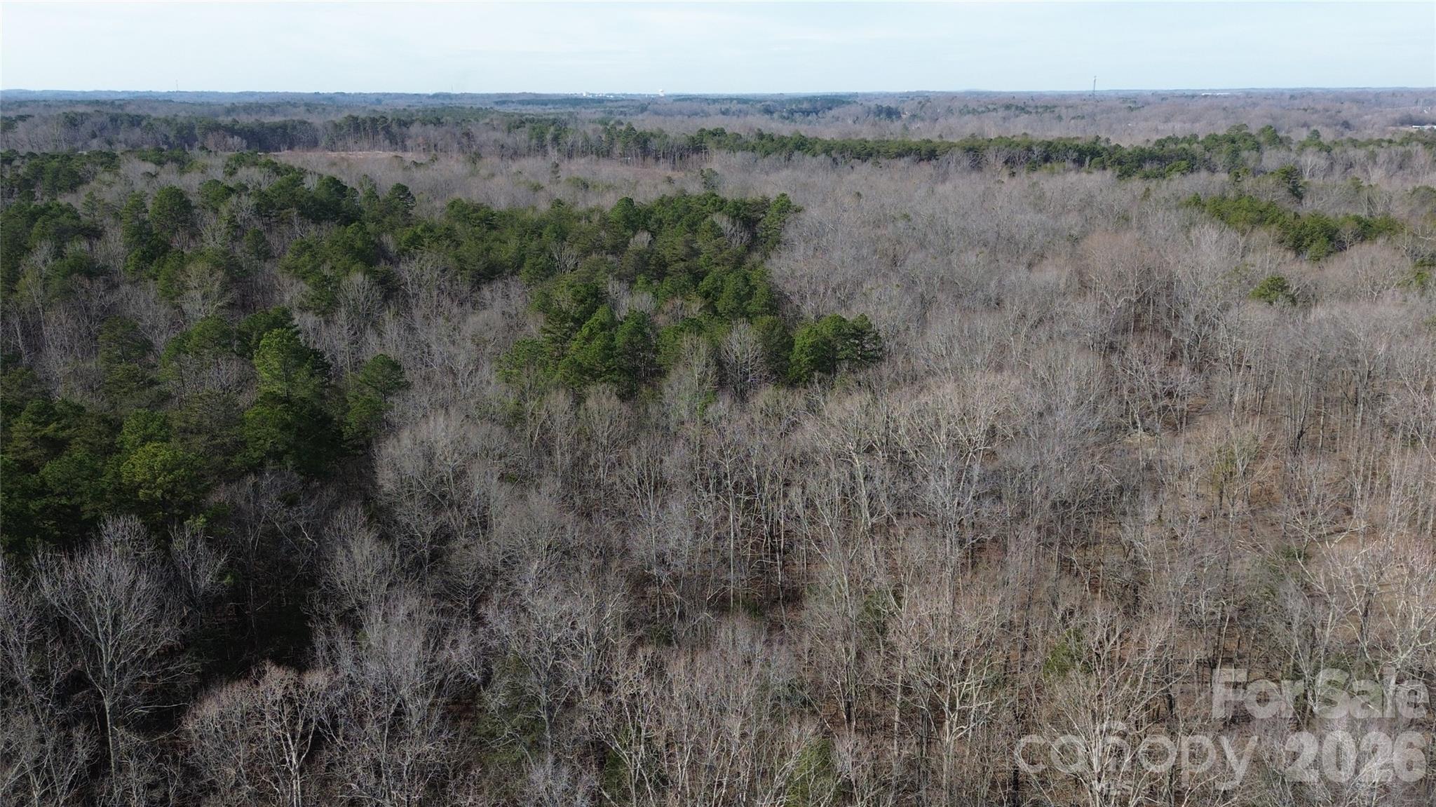 0 Old Union Church Road, Unit 1/2 Salisbury, NC 28146 - Photo 10 of 15 a view of a lake with green field and mountain view