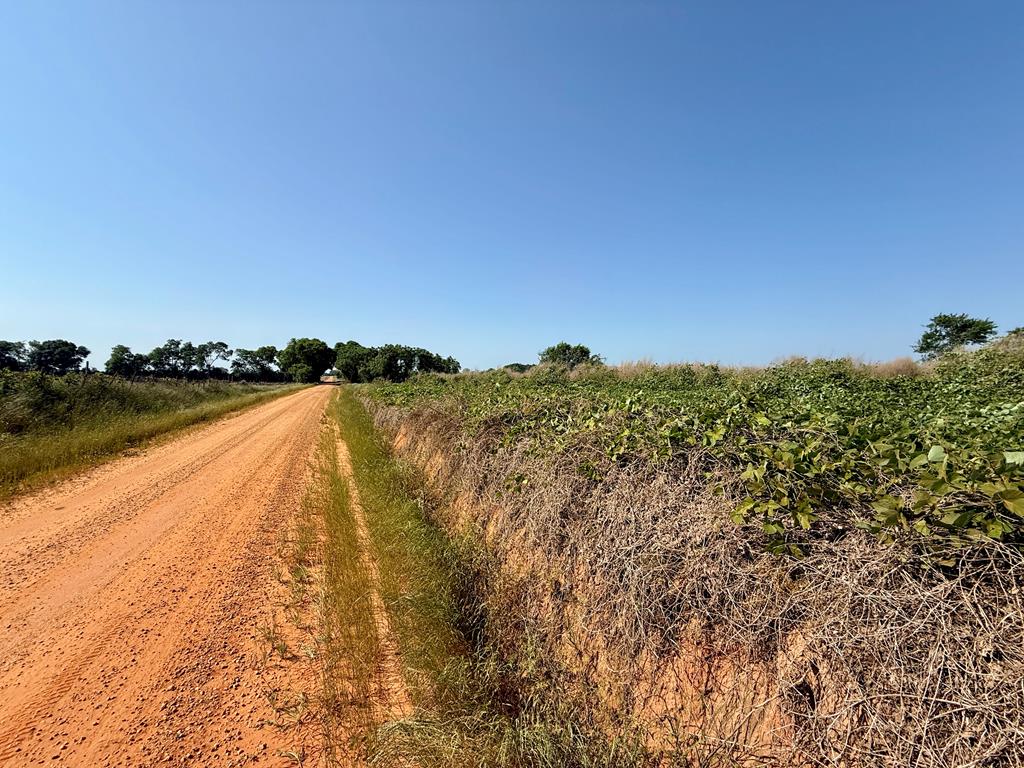 1.0-acre Hollis Dairy Road Newton, AL 36352 - Photo 8 of 8