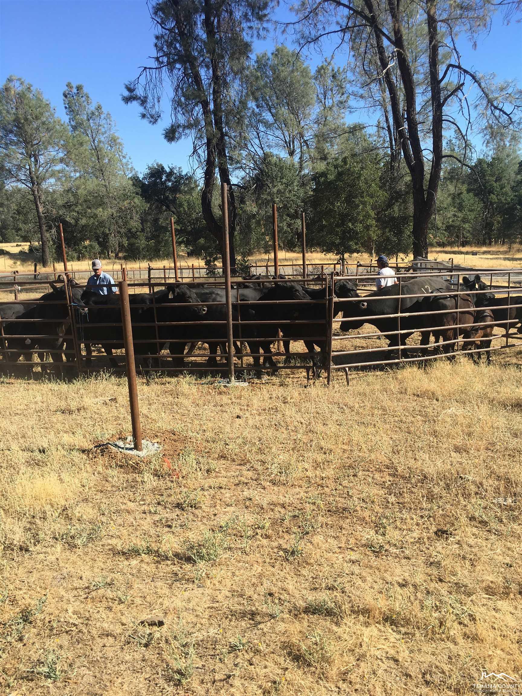 13555 Highway 36 Red Bluff, CA 96080 - Photo 26 of 27
