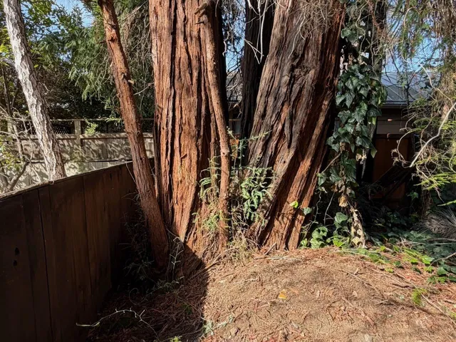 a bathroom with a sink and toilet