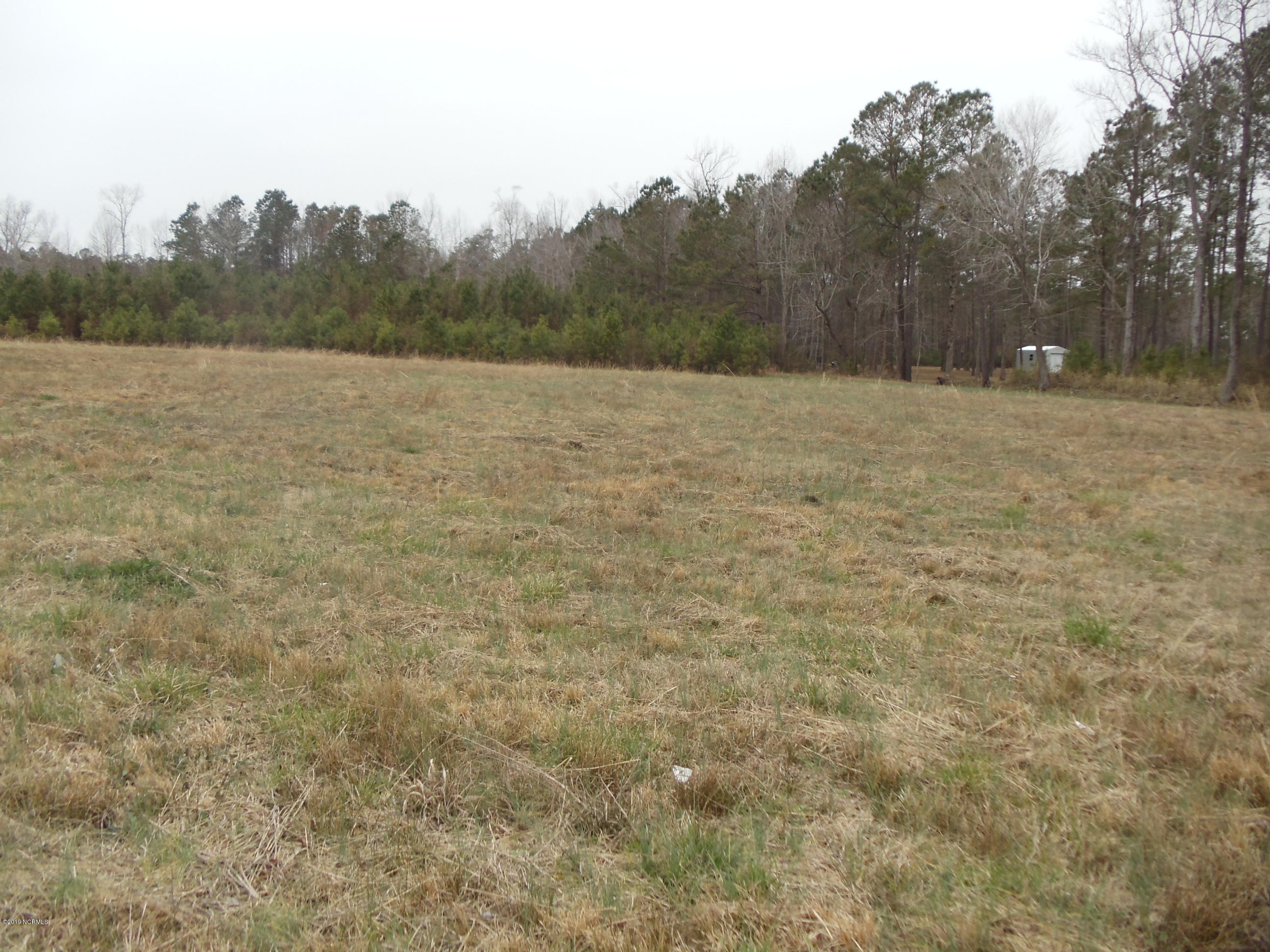 Tbd Parkertown Road Hubert, NC 28539 - Photo 3 of 6 DSC02674