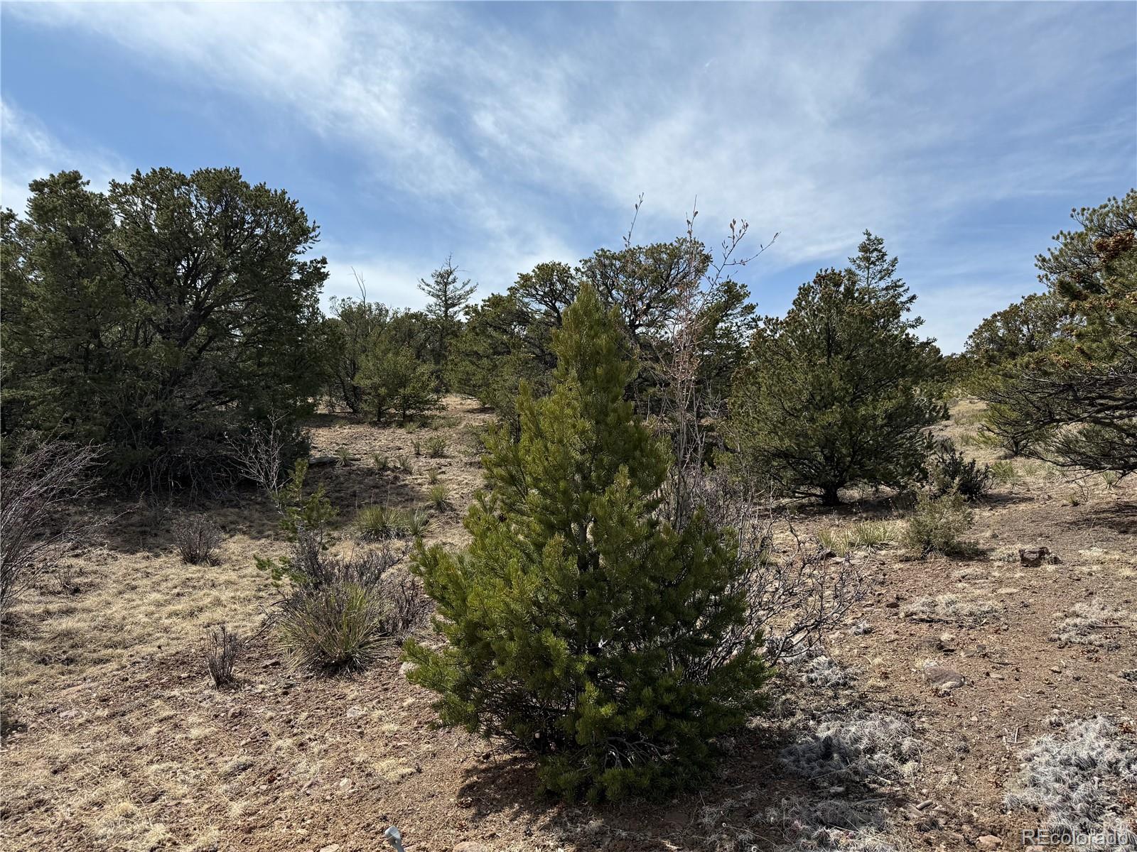673 Hidden Valley Road South Fork, CO 81154 - Photo 1 of 4 Gallery Image 1