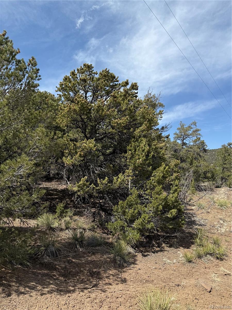 673 Hidden Valley Road South Fork, CO 81154 - Photo 3 of 4 Gallery Image 3
