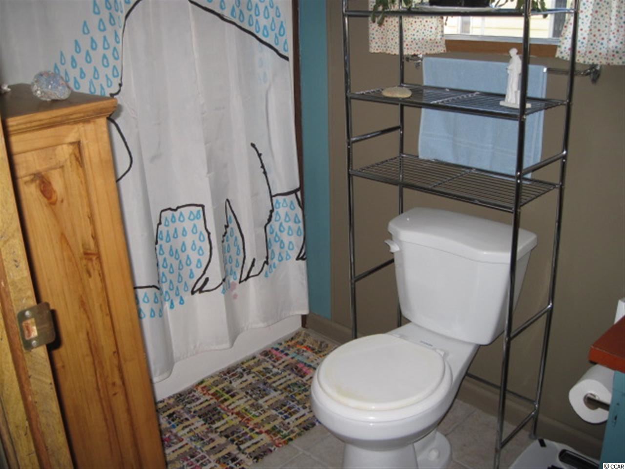 154 Ridgeway Loop Murrells Inlet, SC 29576 - Photo 7 of 15 Gallery Image 7