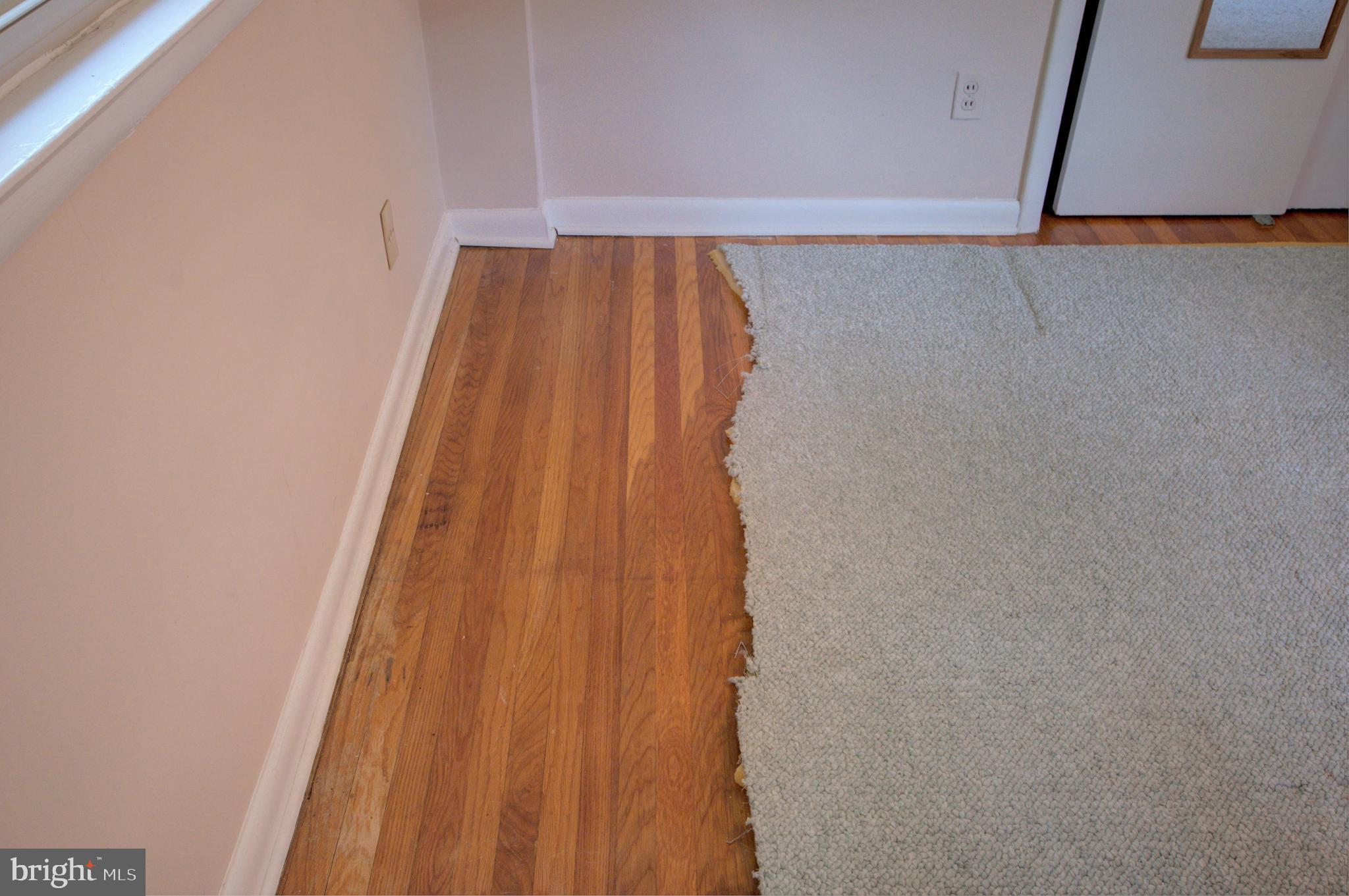 497 Falcon Road Wayne, PA 19087 - Photo 14 of 20 Hardwood floors protected with carpet throughout