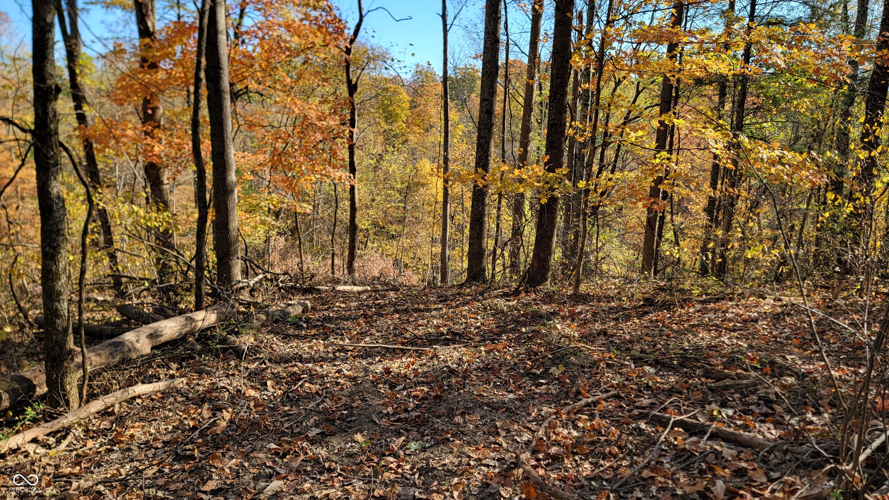 9499 East Poplar Ridge Road Canaan, IN 47224 - Photo 12 of 51