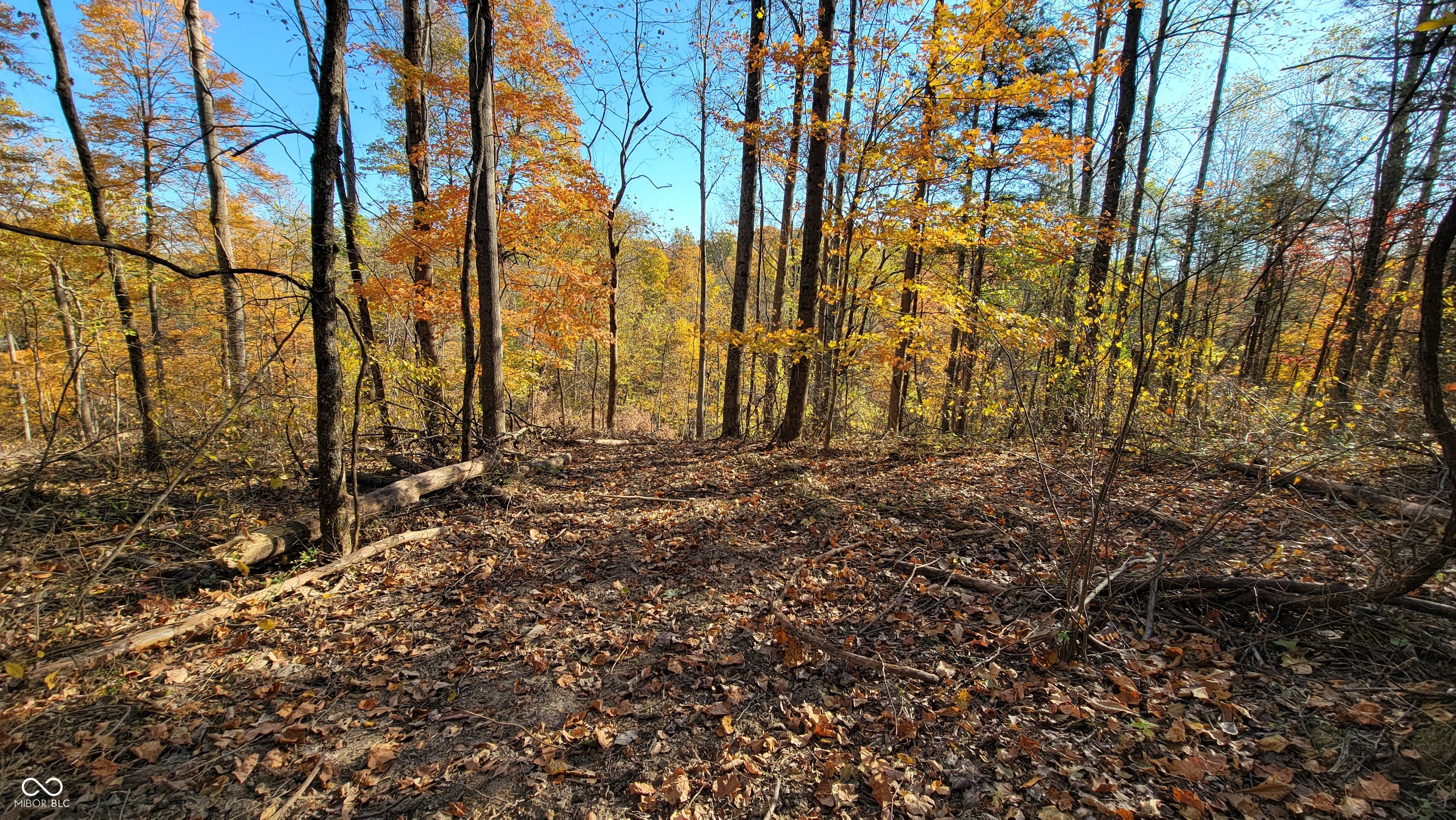 9499 East Poplar Ridge Road Canaan, IN 47224 - Photo 13 of 51