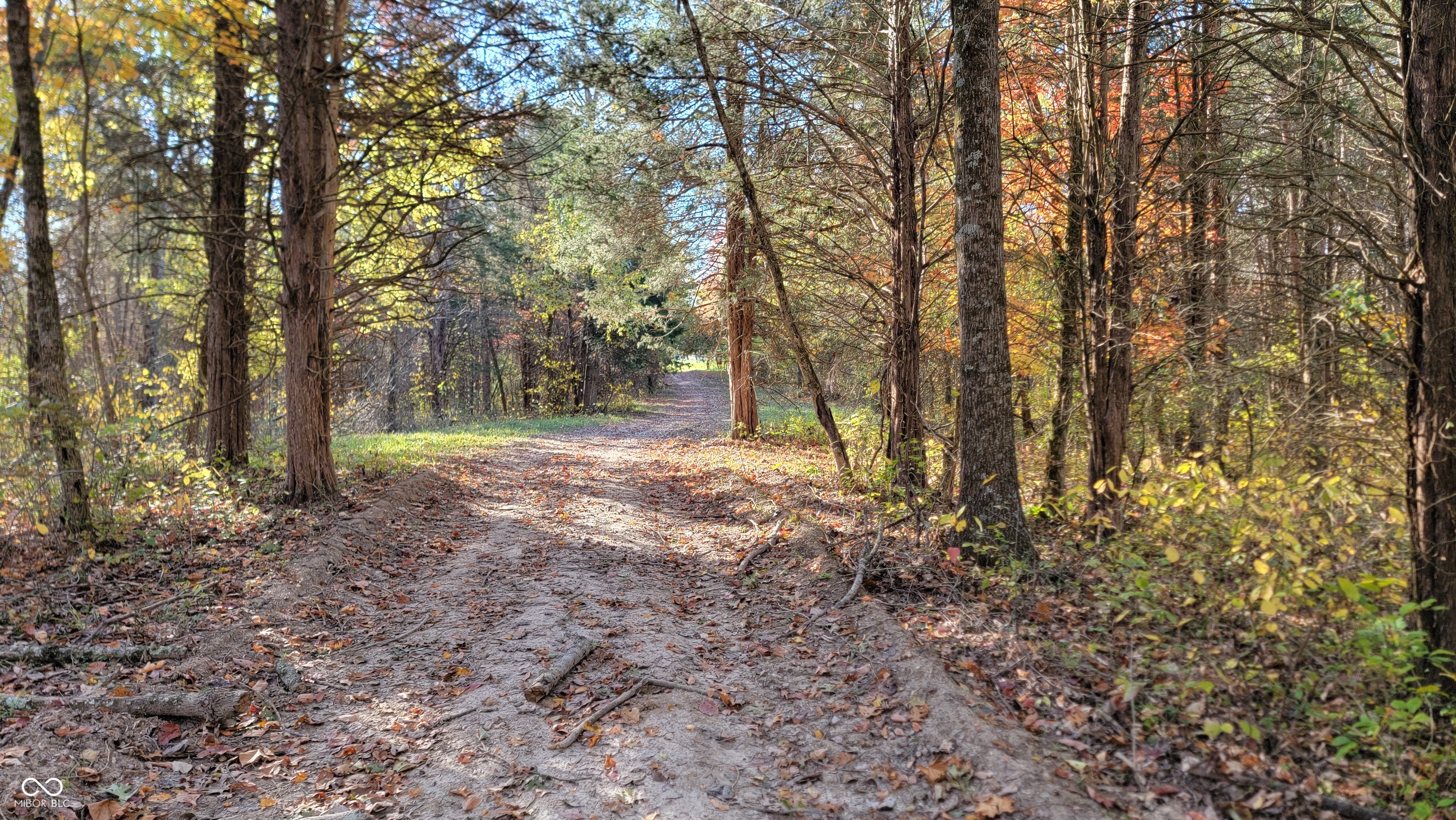 9499 East Poplar Ridge Road Canaan, IN 47224 - Photo 4 of 51