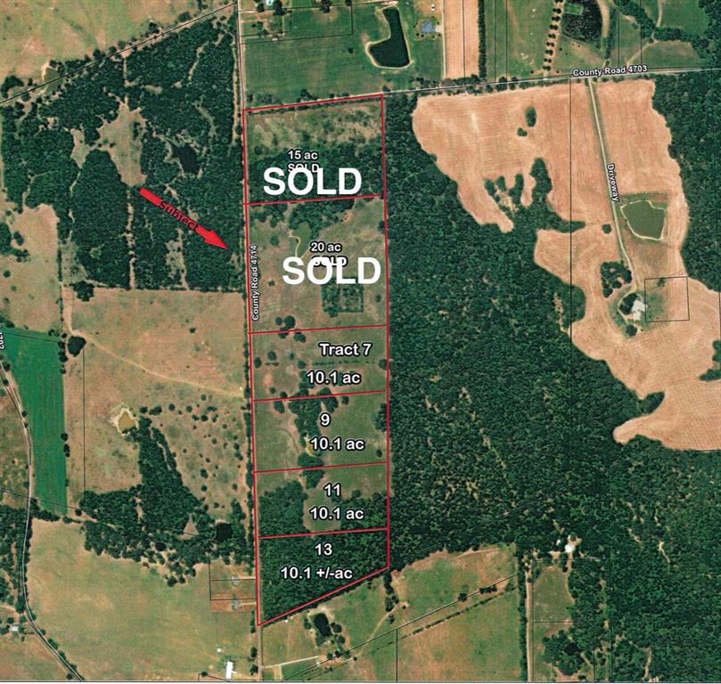 4714 (tract 13) Road Ben Wheeler, TX 75754 - Photo 2 of 8