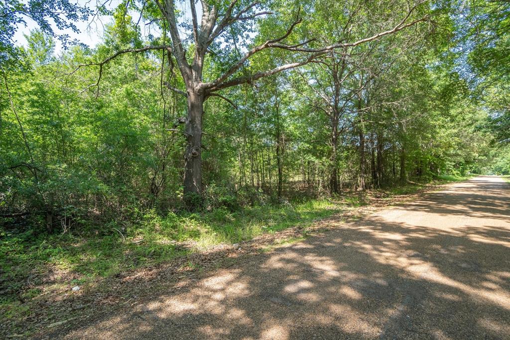 4714 (tract 13) Road Ben Wheeler, TX 75754 - Photo 8 of 8