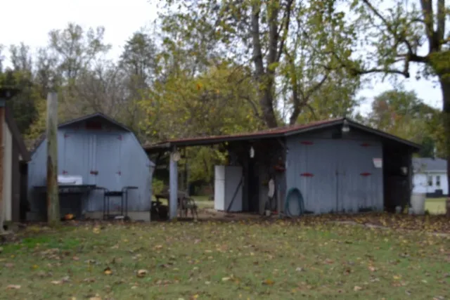a garden view with a fountain