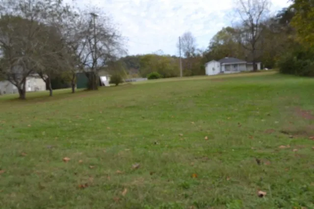 a view of grassy field with trees