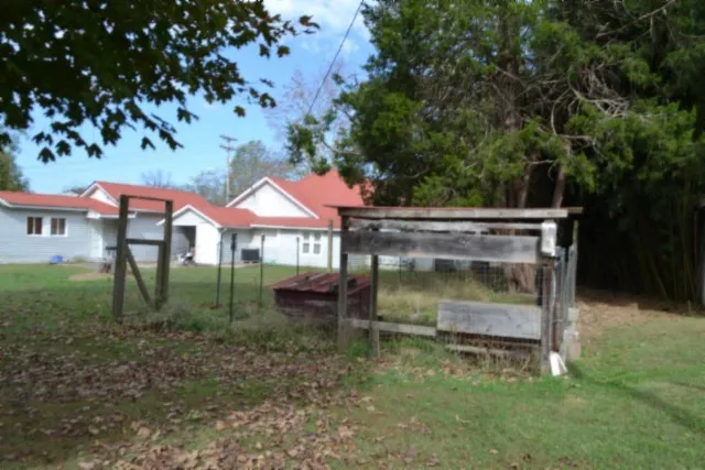 a view of a house with a tree in front of it