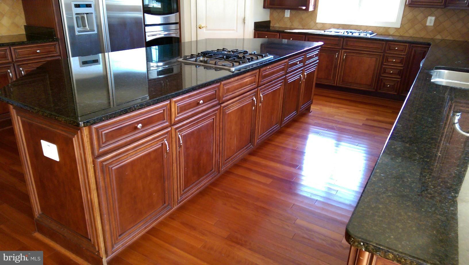 1606 Rushing Stream Court Forest Hill, MD 21050 - Photo 8 of 9 Kitchen