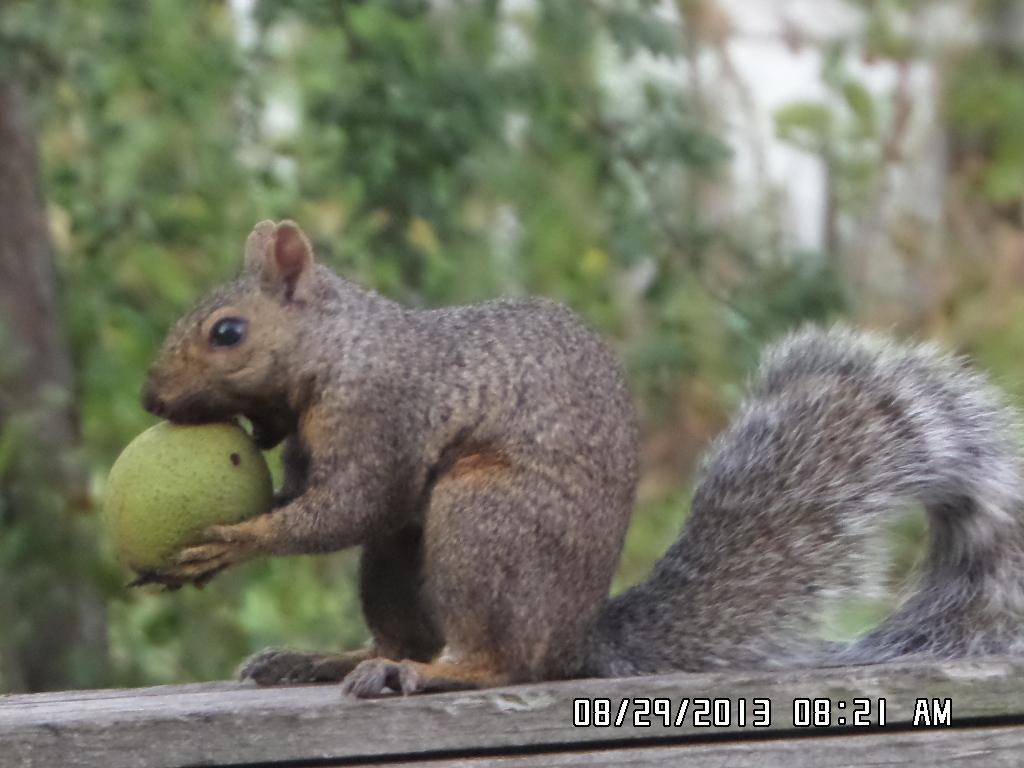 2945 County Highway 4 Southwest, Unit 433 Cokato, MN 55321 - Photo 17 of 26