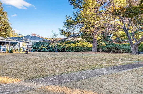 a plant is sitting in front of a yard