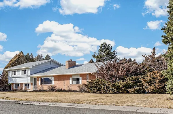 a road view with plants