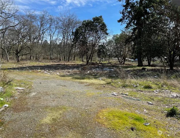 a view of a yard with a tree