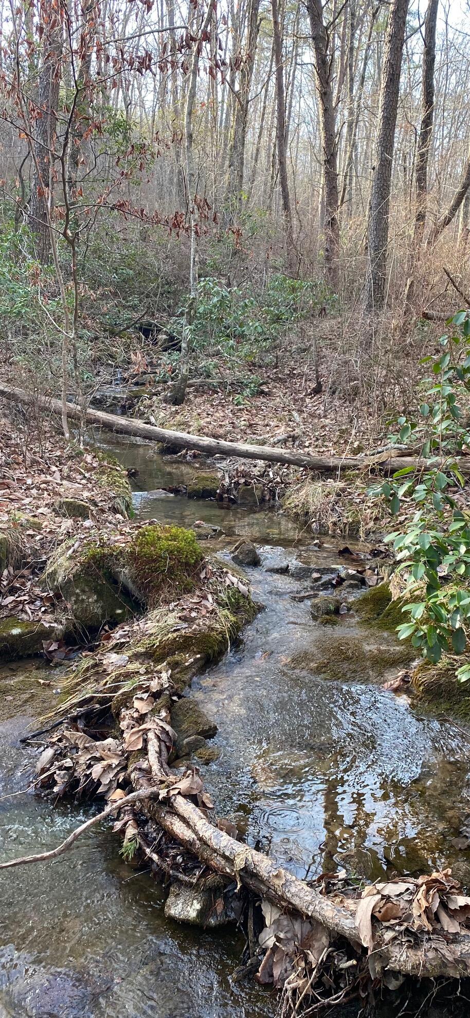 10 Acres Road Dunlap, TN 37327 - Photo 1 of 1 IMG_3872