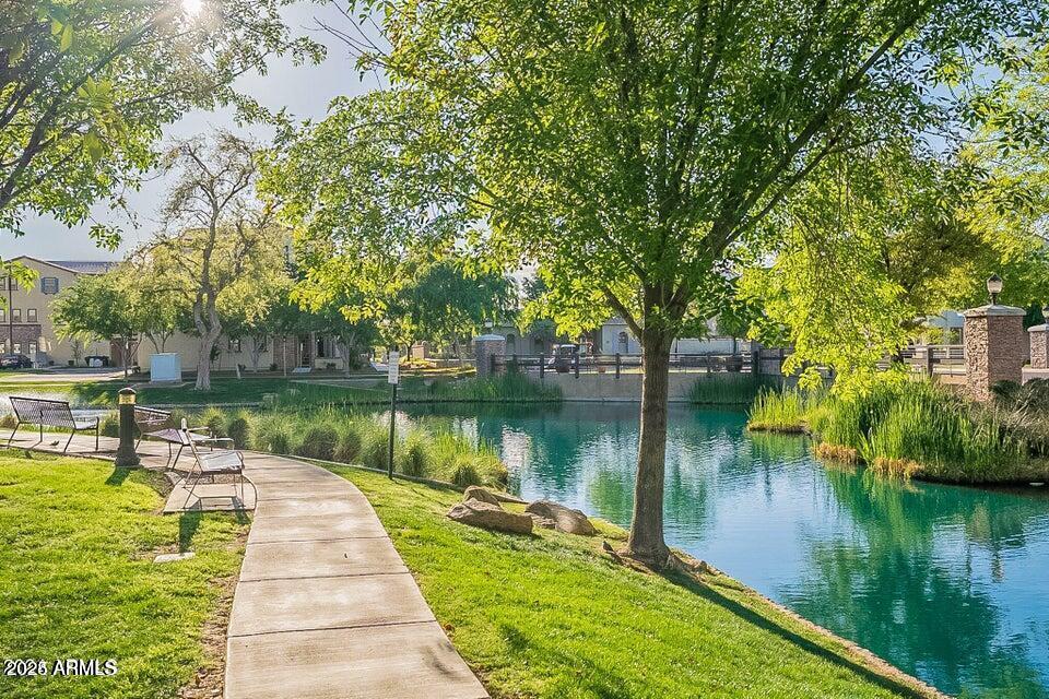 2789 South Key Biscayne Drive Gilbert, AZ 85295 - Photo 39 of 47 a body of water with a tree in the background