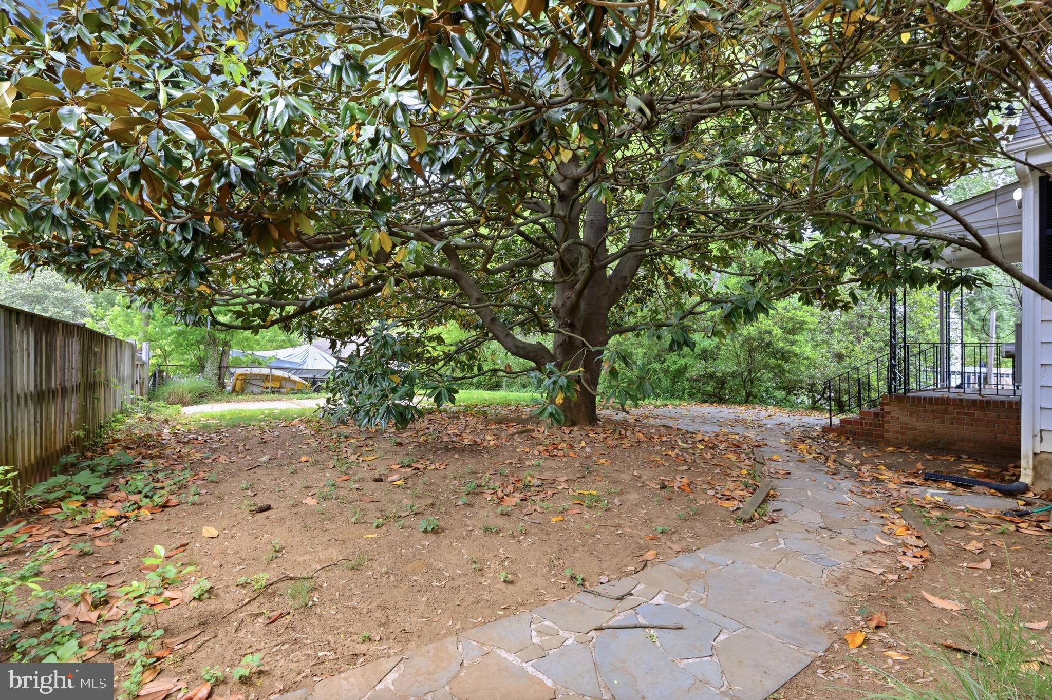 411 Ludlow Road Annapolis, MD 21401 - Photo 33 of 44 Huge lot with beautiful Magnolia tree!