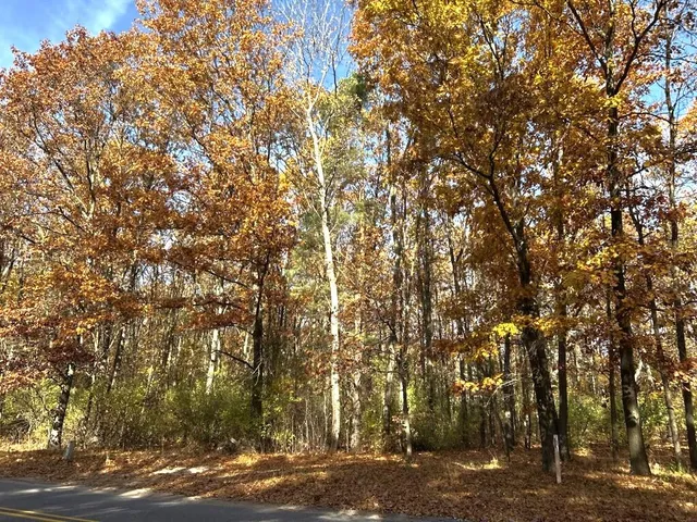 $199,900 | Vl Burroughs Street Northeast, Lowell, MI 49331