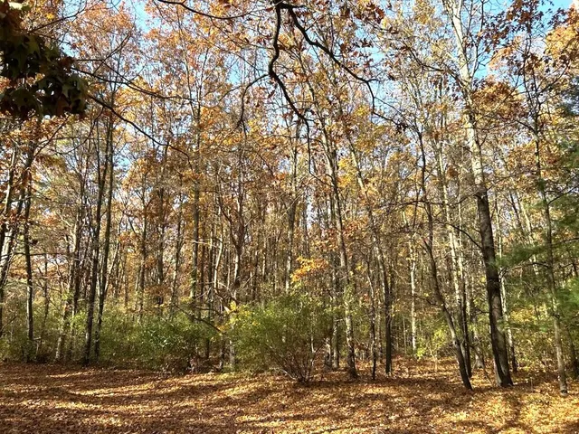 $199,900 | Vl Burroughs Street Northeast, Lowell, MI 49331