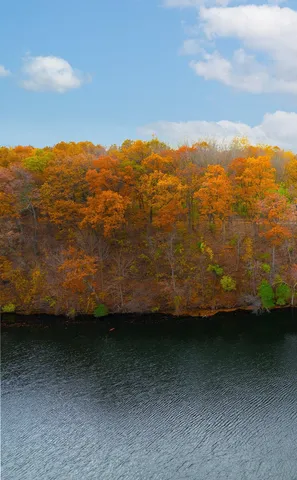 $199,900 | Vl Burroughs Street Northeast, Lowell, MI 49331