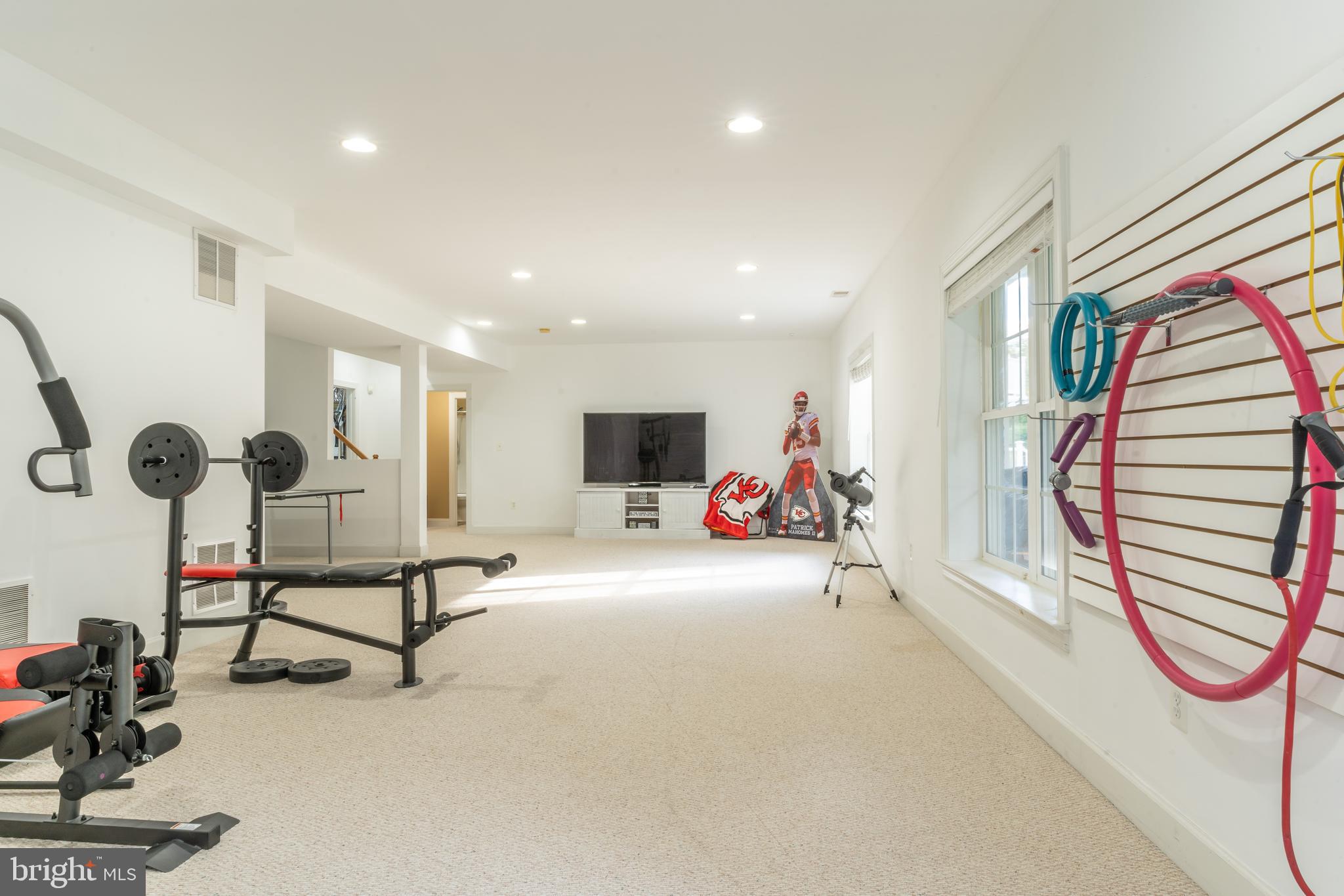 23112 Persimmon Ridge Road Clarksburg, MD 20871 - Photo 38 of 49 Basement