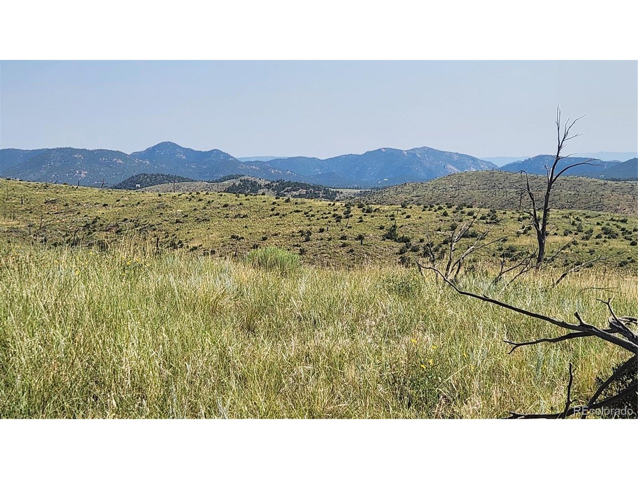 a black and white photo of a field