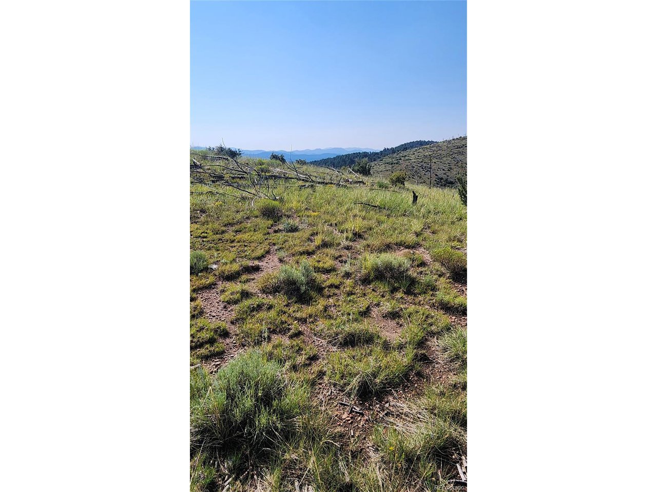 32nd Trail Cotopaxi, CO 81223 - Photo 12 of 18 a picture of a door in front of a house