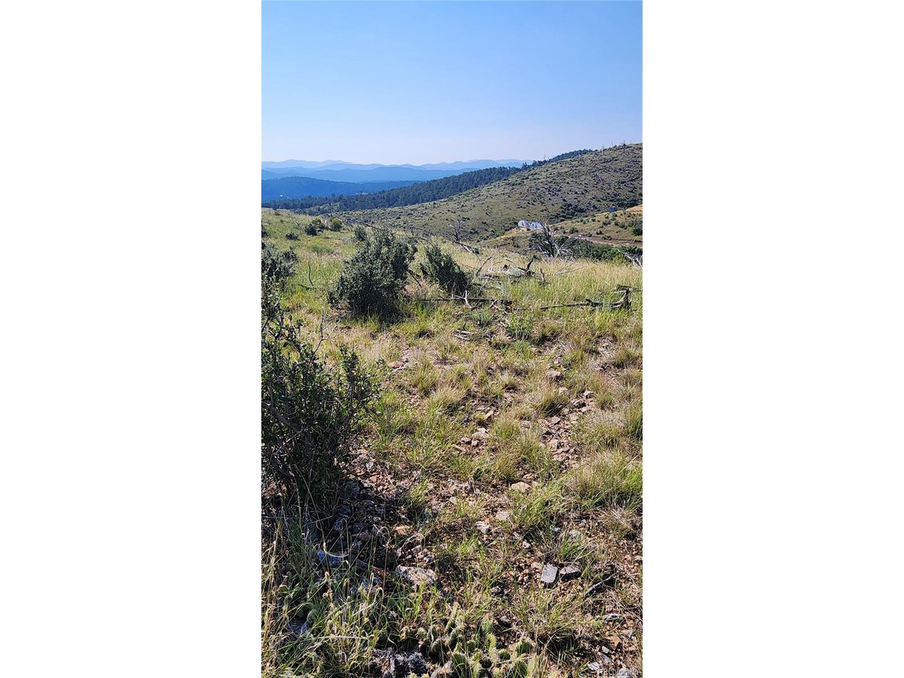 32nd Trail Cotopaxi, CO 81223 - Photo 14 of 18