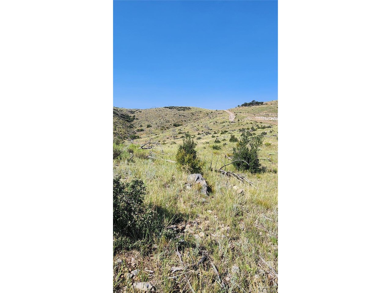 32nd Trail Cotopaxi, CO 81223 - Photo 16 of 18 a view of a room