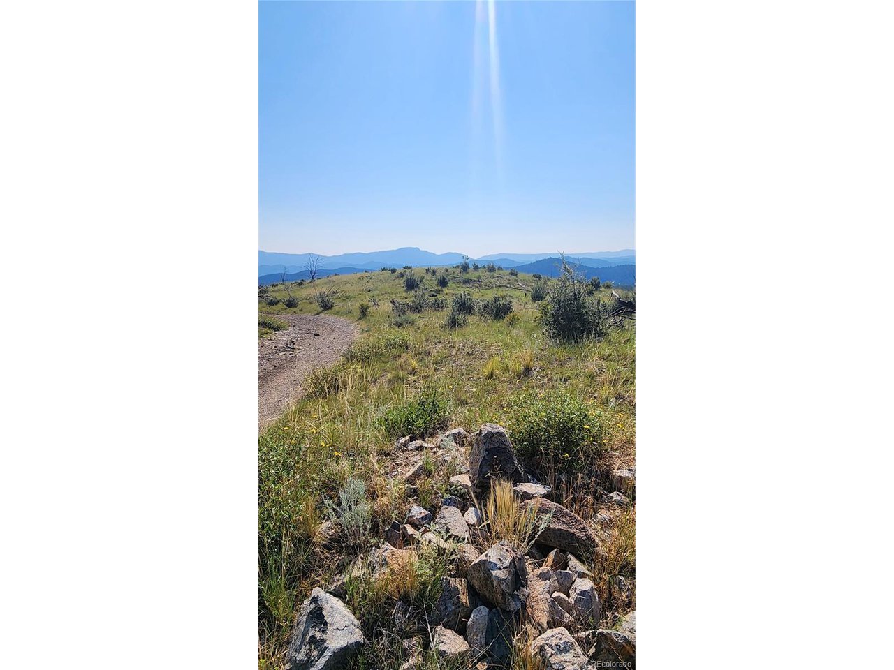 32nd Trail Cotopaxi, CO 81223 - Photo 17 of 18 a view of a forest