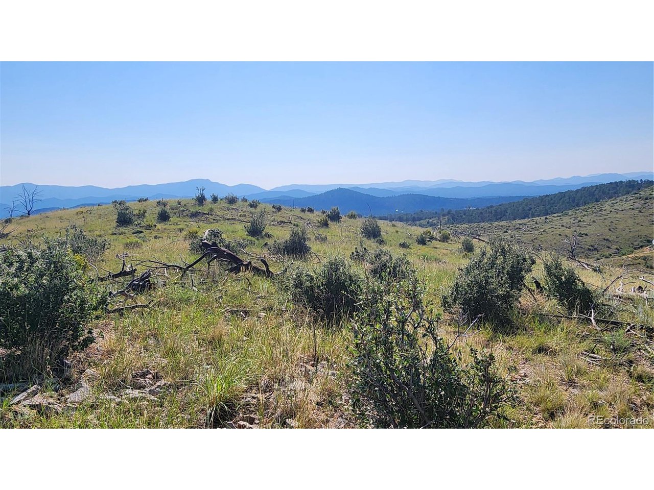 32nd Trail Cotopaxi, CO 81223 - Photo 18 of 18 a black and white photo of a field