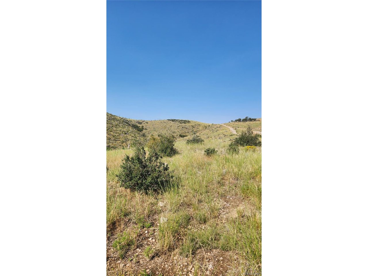 32nd Trail Cotopaxi, CO 81223 - Photo 3 of 18 a view of a room
