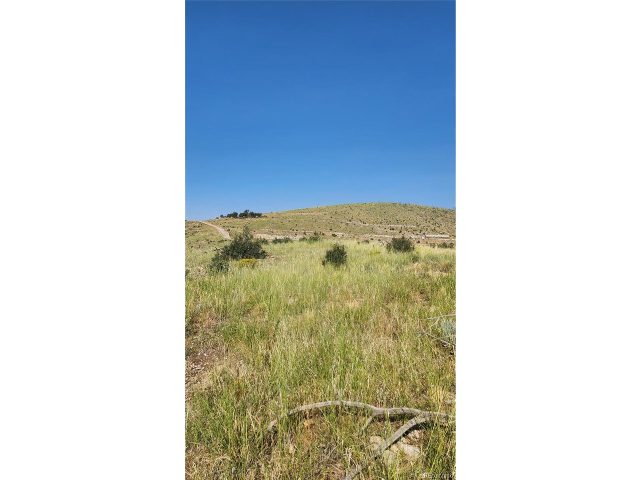 32nd Trail Cotopaxi, CO 81223 - Photo 5 of 18 a bathroom with a shower