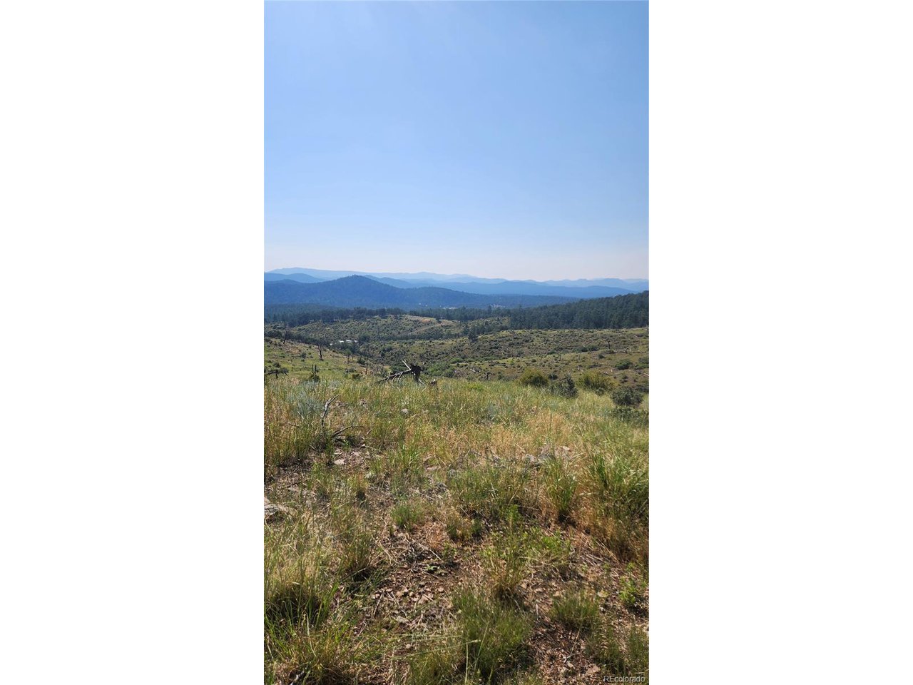 32nd Trail Cotopaxi, CO 81223 - Photo 7 of 18 a view of a room
