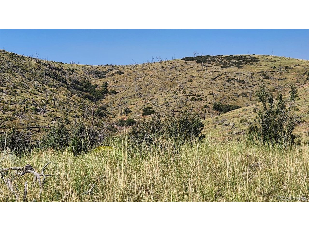 32nd Trail Cotopaxi, CO 81223 - Photo 8 of 18 a black and white photo of a building