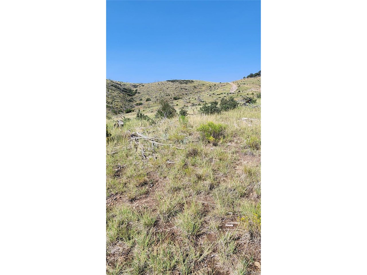 32nd Trail Cotopaxi, CO 81223 - Photo 9 of 18 a view of a bathroom