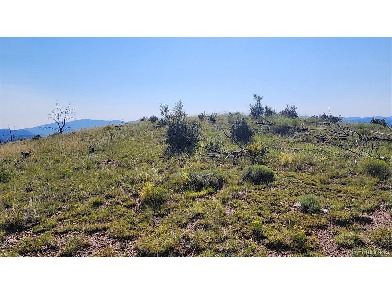 32nd Trail Cotopaxi, CO 81223 - Photo 10 of 18 a open area with green field and trees