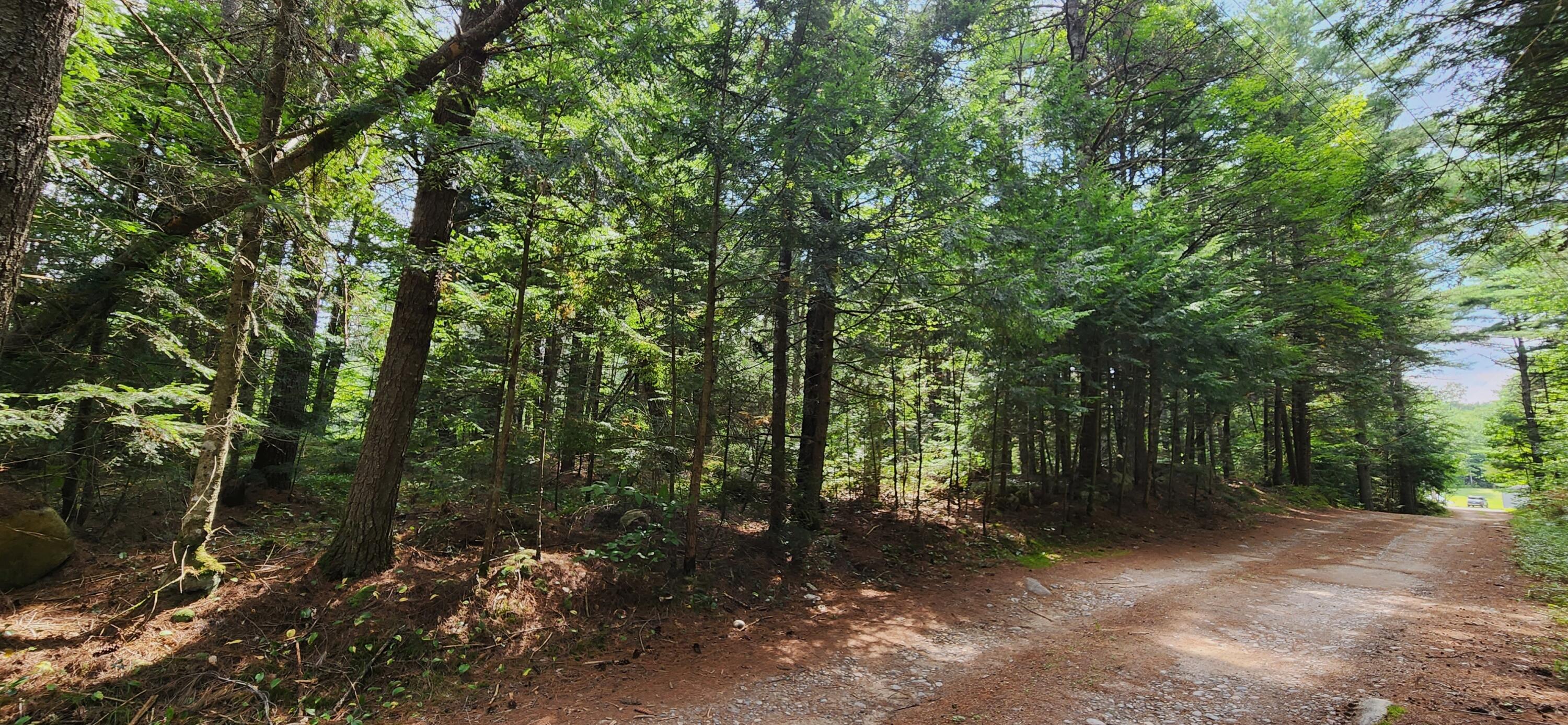 Lot 29 A Plains Road Harrison, ME 04040 - Photo 3 of 5 20230821_140155