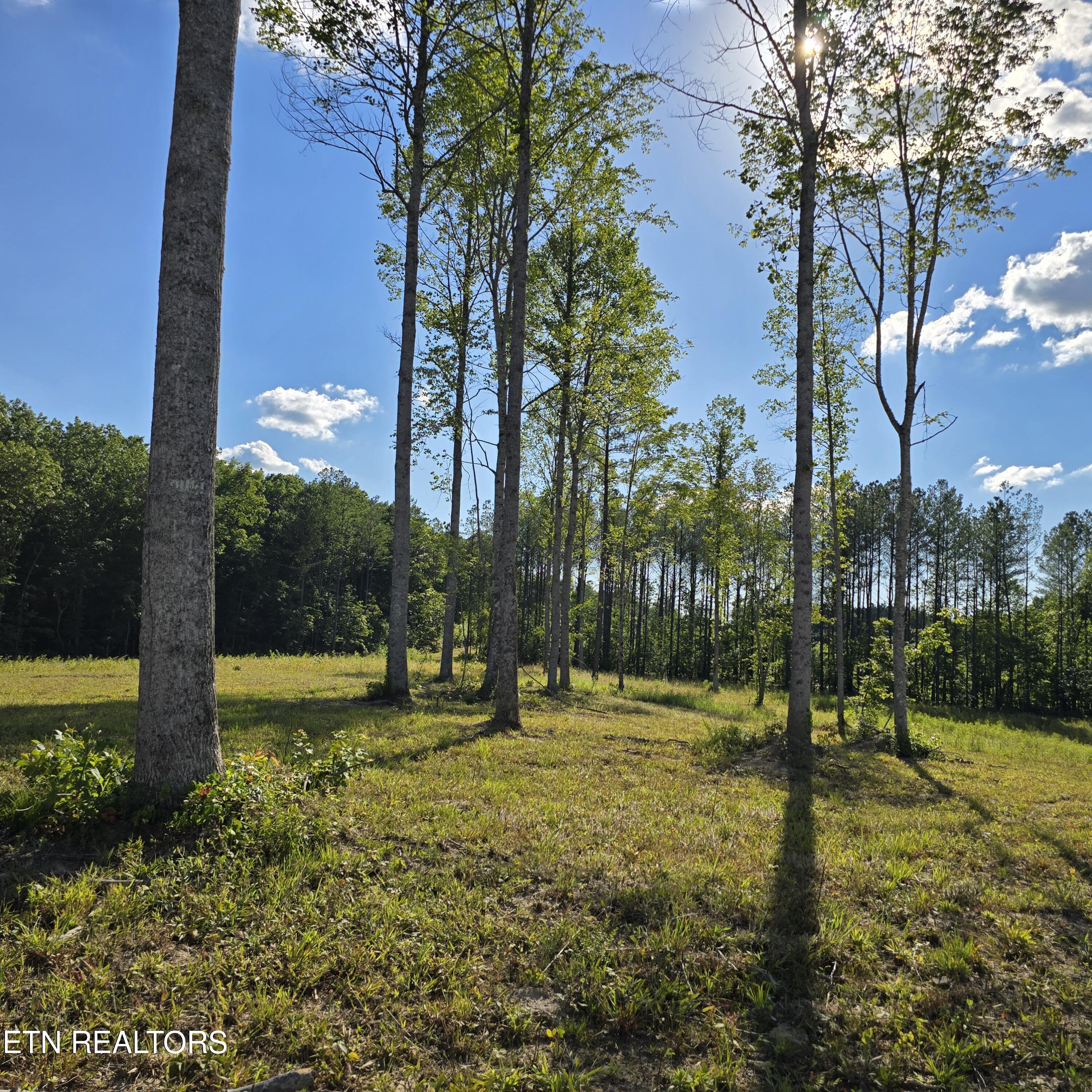80-ac Red Hill Road Sunbright, TN 37872 - Photo 16 of 16 20260620_180423