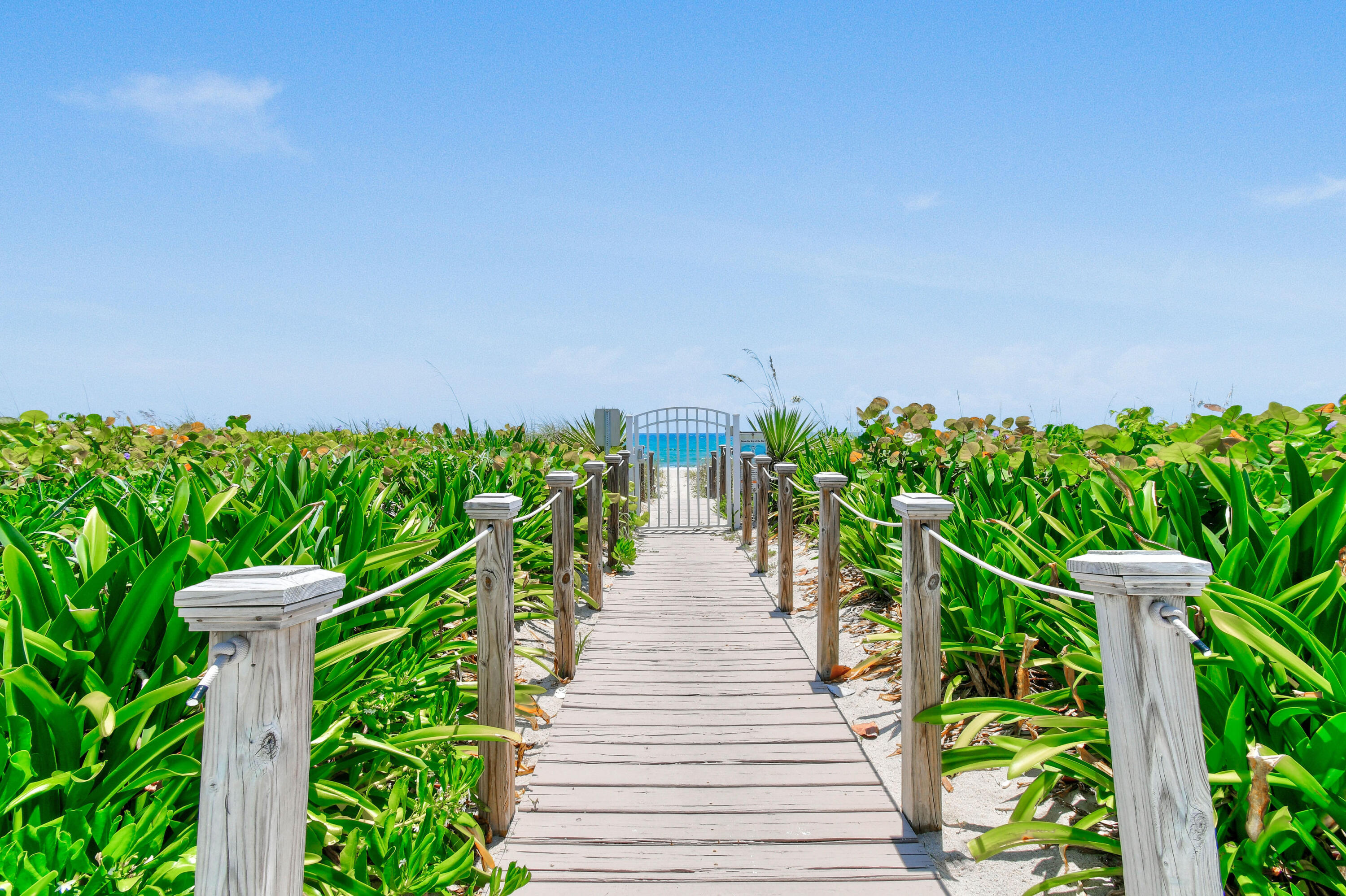 2780 South Ocean Boulevard, Unit 112 Palm Beach, FL 33480 - Photo 38 of 55 a view of a garden with plants