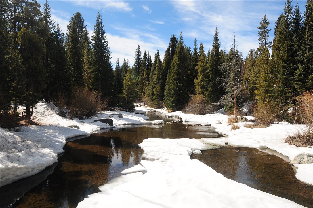 820 Columbine Road, Unit 1 Breckenridge, CO 80424 - Photo 15 of 25 Gallery Image 15